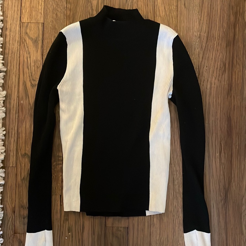 Zara knit turtle neck